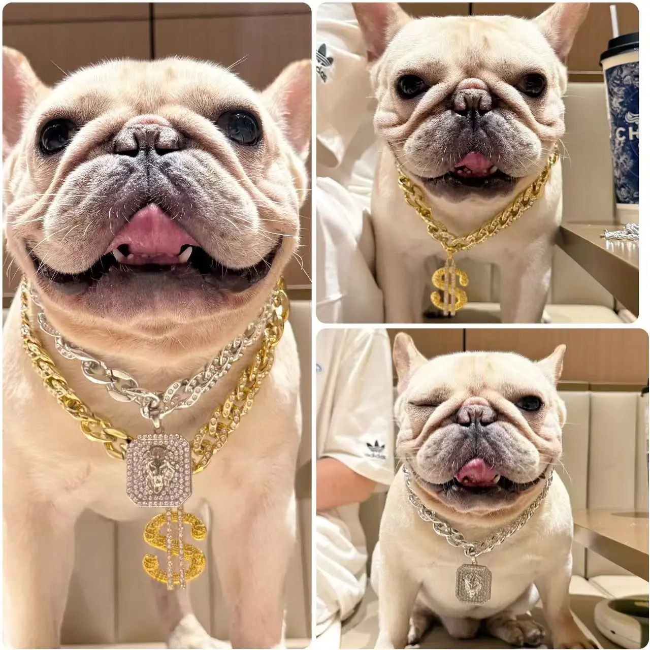 Luxury Fancy Zircon Pendant Dog Accessories for Cat Neck Wear Plastic Pet Necklace Adjustable Cosplay Small Medium Puppy Collar - Image 3