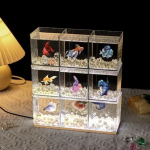 Acrylic Ornamental Fighting Fish Tank New Small Row Tank Transparent Desktop Aquarium Creative Multi-compartment DIY Aquariums