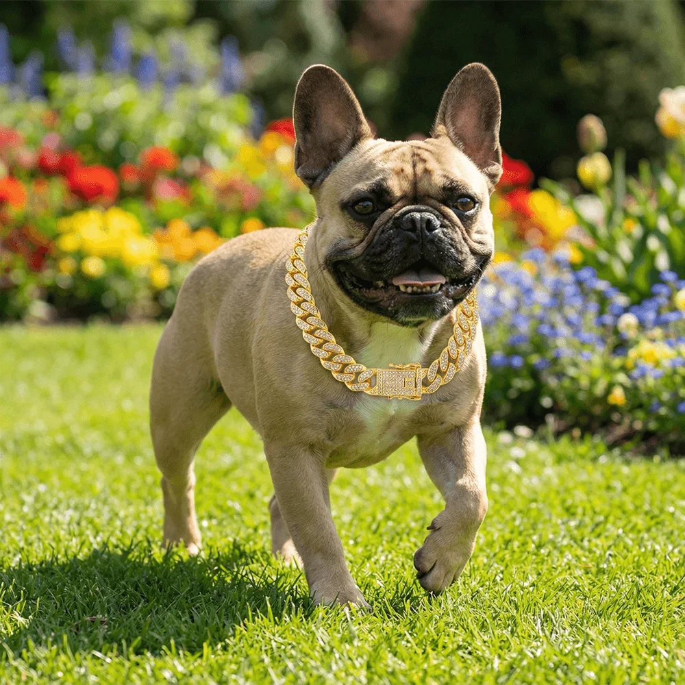 Luxury Hip Hop Dog Collar, Gold Tone Stainless Steel Cuban Chain, Durable Diamond Inlaid Pet Jewelry for Daily Walking - Image 5