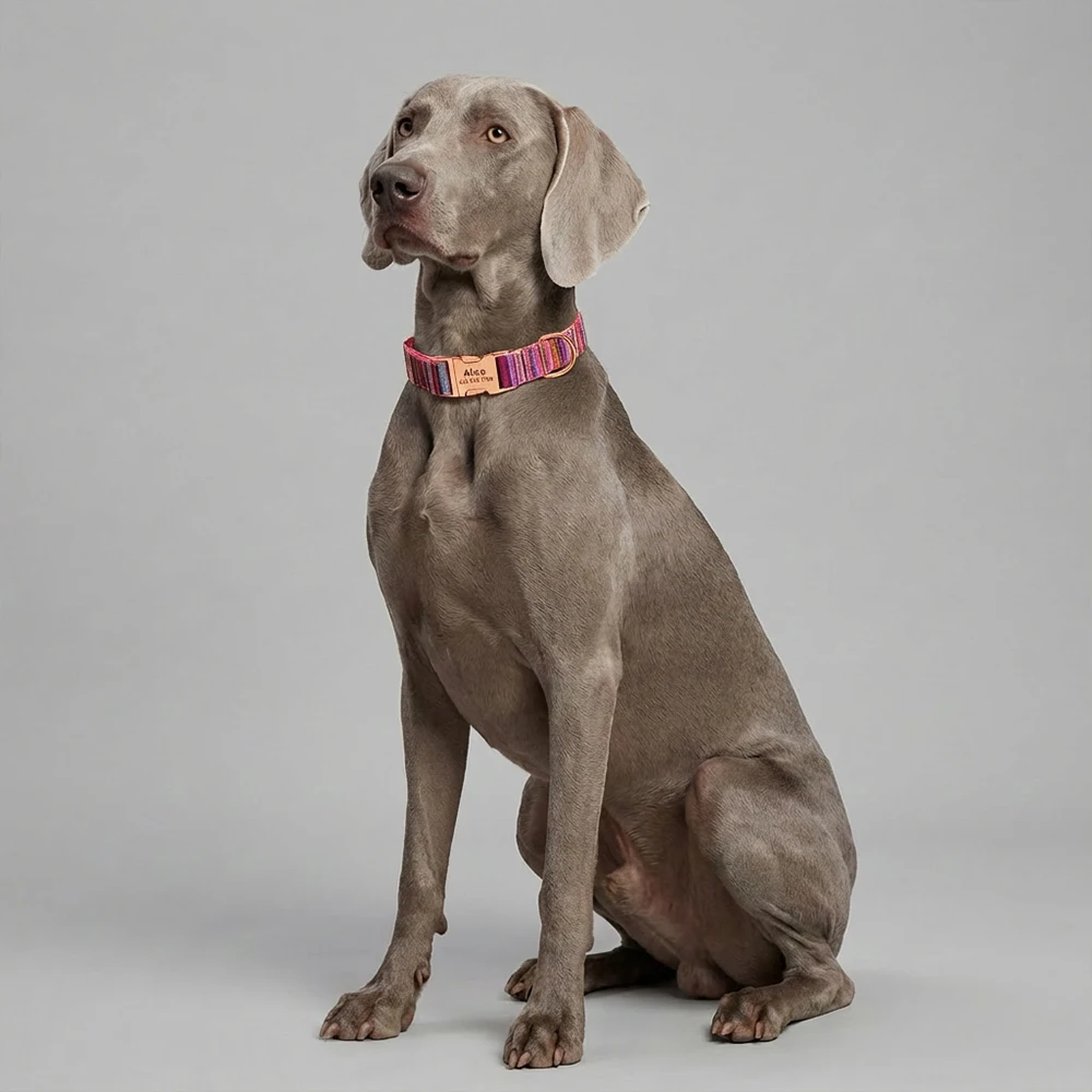 Custom Dog Collar Nylon Dog Collars Free Engraved Pet Puppy Dog Name ID Buckle Necklace Adjustable for Small Medium Large Dogs - Image 5