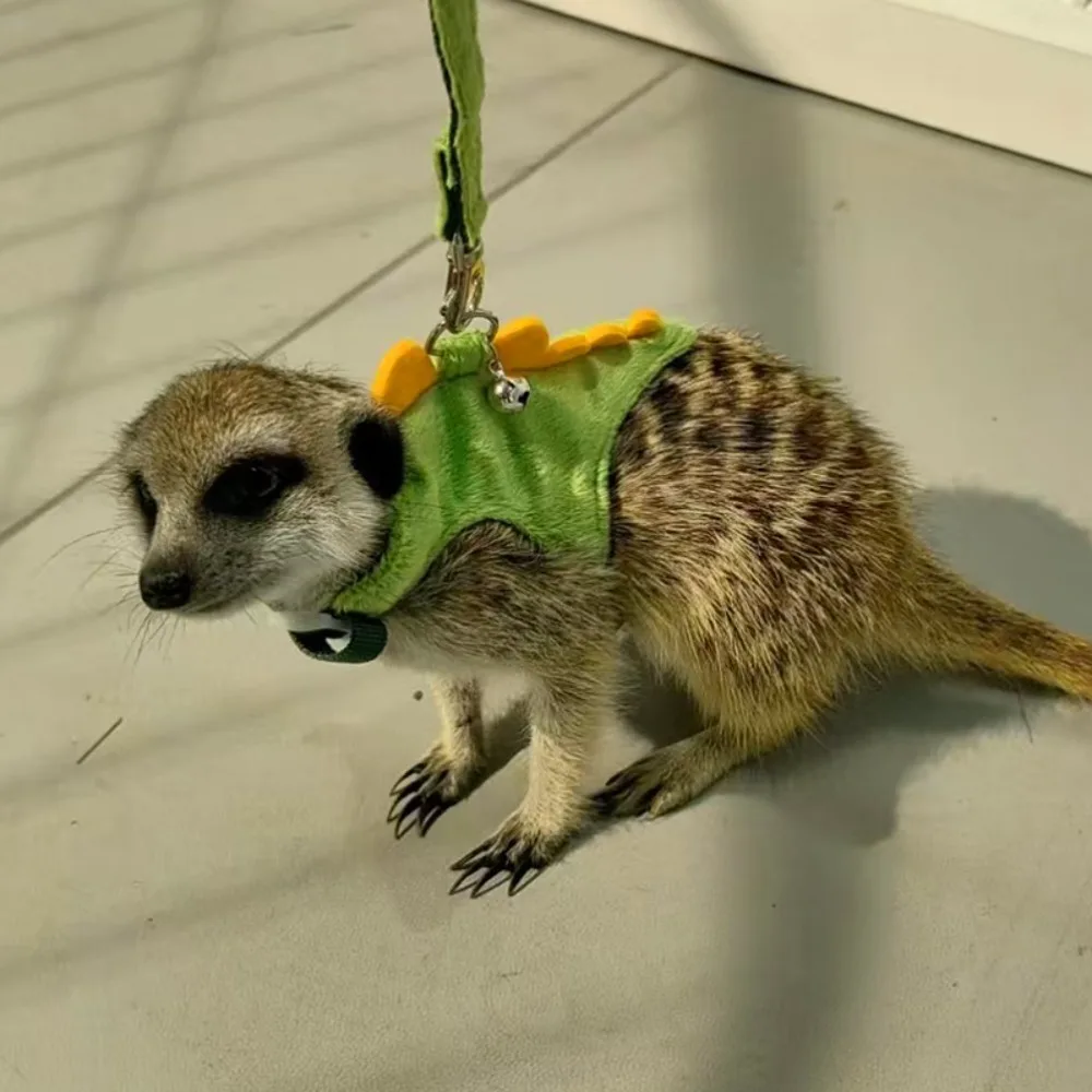 Cute Cartoon Ferret Vest Harness Adjustable Dragon Design Hamster Chest Strap with Bell Flannel Ferret Traction Rope Training - Image 3