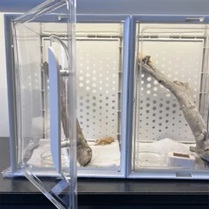 Transparent Thick Reptile Terrarium Airy Pet Box For Geckos Frogs Lizards Table Display Birthday Gift For Beginners