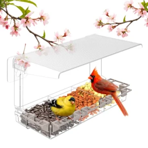 Transparent Window Bird Feeder，Outdoor Garden Courtyard Hummingbird Feeder Wild Bird Feeder，with 5 Bird Stand and Strong Adhesiv