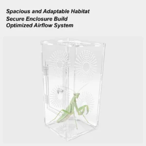 Spider Enclosure Small Reptile Habitat For Mantis Frog Full Transparency Terrarium Secure Mantises Feeding Accessories For Kids
