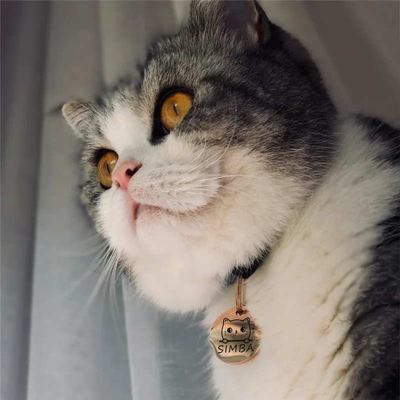 Personalized Pet ID Tags Cute Cat Face Collar Accessories Name Tags ID Collar Pendant Customized Free Engraved Anti-lost Tag - Image 3