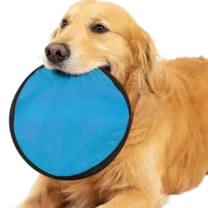 Dog Training Flying Disc Casual Breathable Portable Flying Saucer Easy To Store and Clean Pet Outdoor Interactive Training Toys