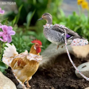 1/2Pcs Cartoon Fashion Pet Traction Rope Set Hen Chicken Duck Vest Diaper Comfortable Leads for Poultry Pet Supplies