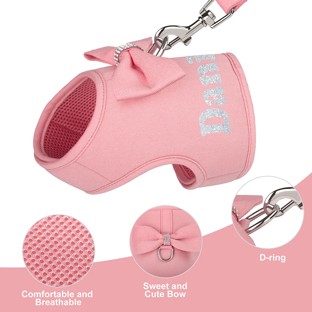 Personalized Dog Harness and Leash Set Free Print Name Pet Vest Harness Lead with Cute Bowtie for Small Medium Dogs Cats Pug - Image 3