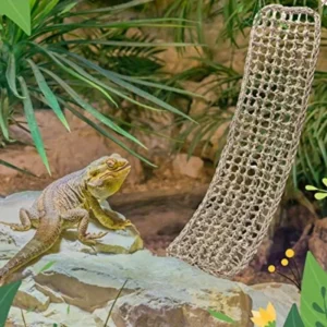 1PCS Chameleon Lizard Gecko Snake Hammock Climbing Pet Nest Natural Grass Mat Animal Feeding Box Landscaping Pet Toys