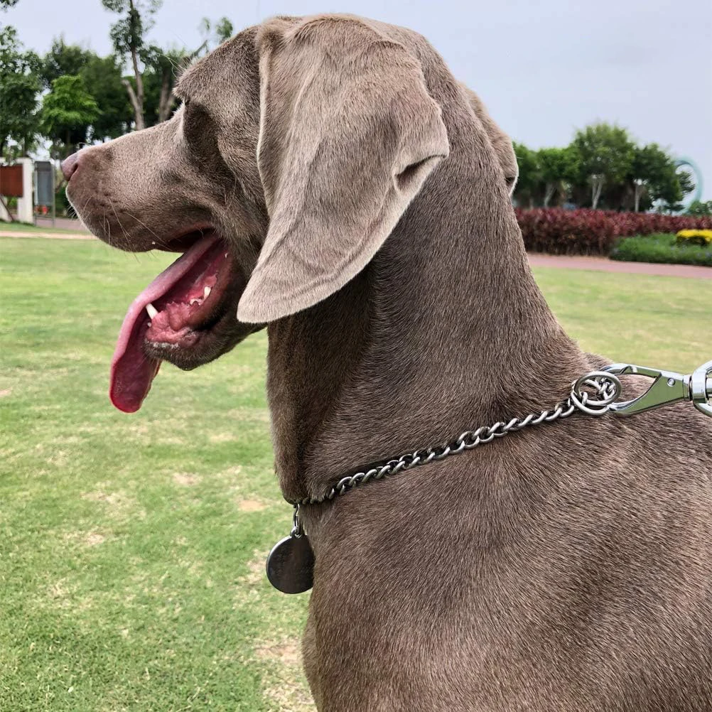 Durable Silver Dog Chain Collar Stainless Steel Choke Cuban Link Necklace Pet Training Collar for Small Medium Large Dogs Pitbul - Image 6