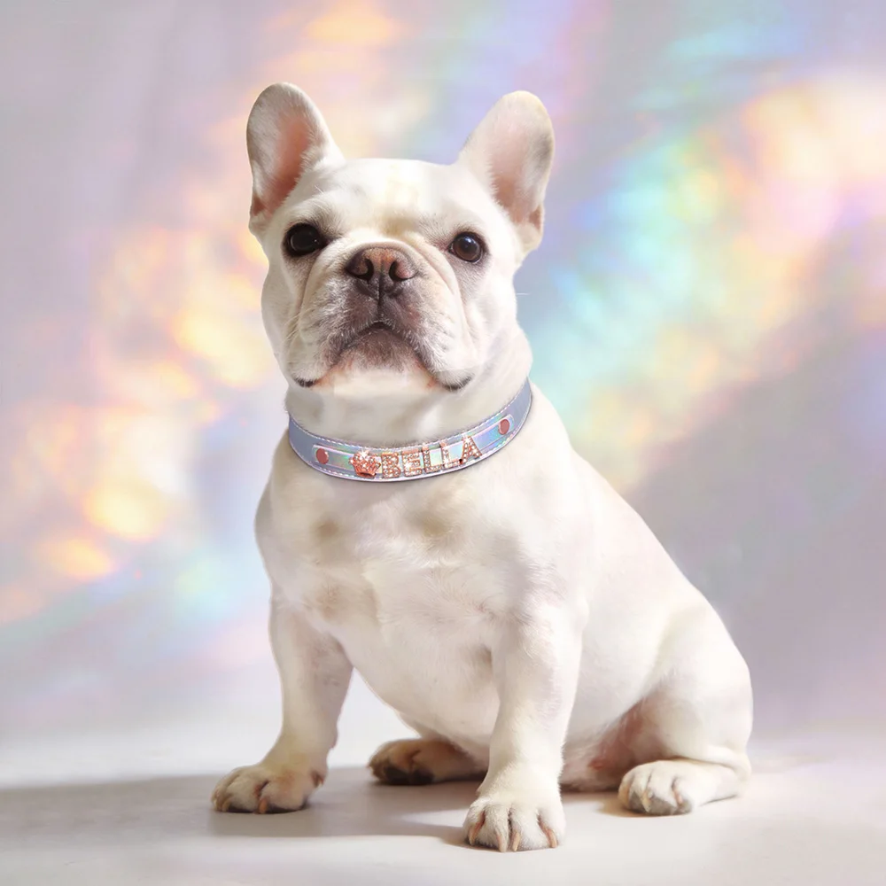 Personalized Dog Collar DIY Puppy Cat Name Collars Pet Necklace With Bling Letters Charms Free Custom For Small Medium Dogs Pug - Image 5