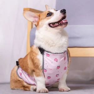 Dog Clothes For Korji Dog Belly Protection Clothing Waterproof Warm Pet Dog Bib Summer Dog Belly Pocket