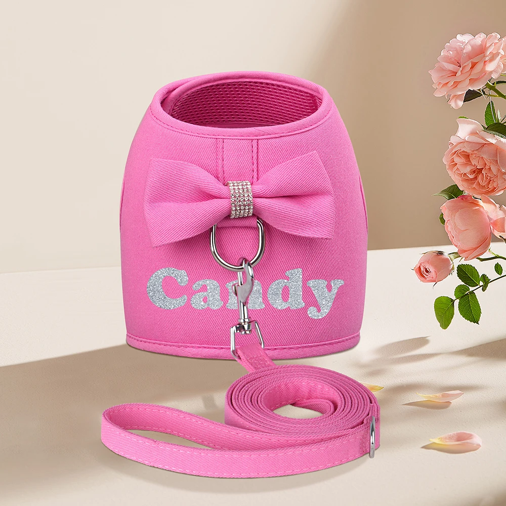 Personalized Dog Harness and Leash Set Free Print Name Pet Vest Harness Lead with Cute Bowtie for Small Medium Dogs Cats Pug - Image 7