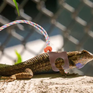 2Pcs Professional Adjustable Lizard Leash Lightweight PU Breathable Reptile Outdoor Leash Bearded Dragon Walking Rope Crawl Pet