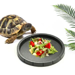Black plastic material, round and hexagonal reptile lizard, turtle feeding basin, water basin, frog bath basin