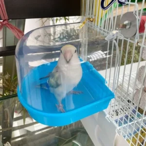 Bird Bathtub Shower Box Plastic Case Water Bath Tub for Pet Bird Bowl Parrots Parakeet Hanging Birdbath Cage Accessories