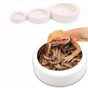 Reptile Water Food Bowl Anti-Escape Ceramic Feeder Dish for Lizard Hermit Gecko Chameleon Corn Snake Bearded Dragon Accessories