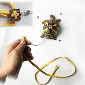 Pet Turtle Traction Rope Safety Belt Portable Outdoor Traction Belt Multifunctional Training Rope Small Pet Supplies