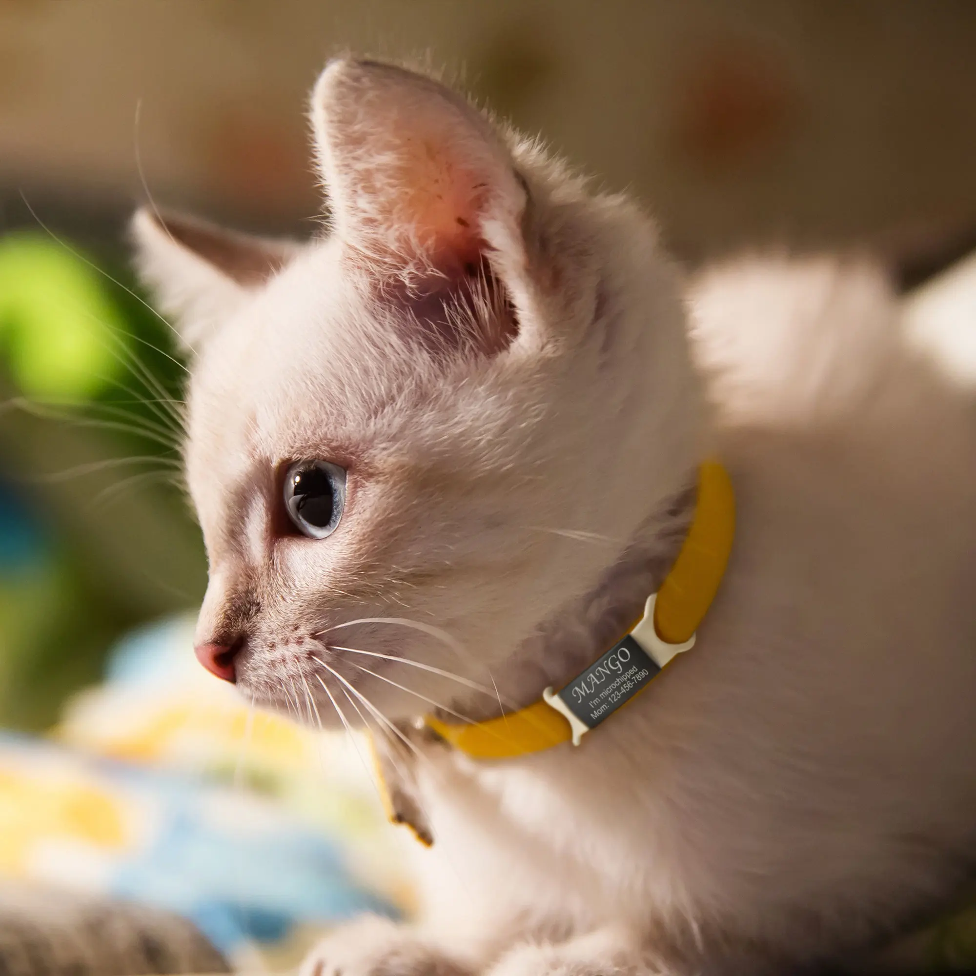 Cat Tags Slide on Pet Tag Custom Slide on Pet Id Tag Cat Name Tag Silent No Noise Slide Cat Collar Tag Gifts Name Phone Number - Image 2