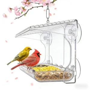 Outdoor Bird Feeder Window Type for Courtyard and Balcony, Transparent with Strong Suction Cup, Automatic Feeding, Leak-Proof Bi