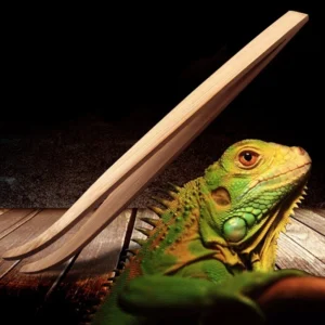 Reptile Feeding Tools 16.5/28cm Bamboo Tweezers Reptile Insects Lizard Gecko Turtle Snake Spider Bird Feeding Cleaning Tool