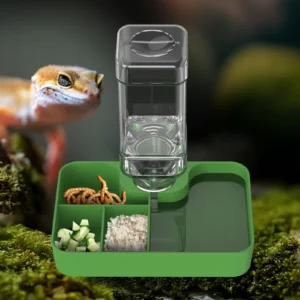 2-in-1 reptile feeding bowl, plastic water basin with bottle, lizard corn snake chameleon turtle feeding bowl