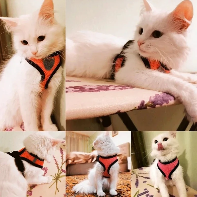 Cat Harness Vest Walking Lead Leash Adjustable Mesh Polyester for Small Medium Dogs Puppy Pets