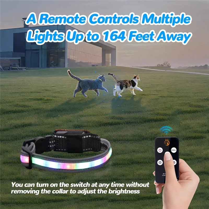 For Night Cat Collar, Rechargeable Waterproof LED Light For Cats, Remote Control Included, Dog Friendly Design - Image 5