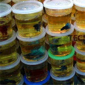 High Quality Betta House Mini Fighting Betta Fish Tank Aquarium (Fish Not Included) Peceras Para Bettas Tank