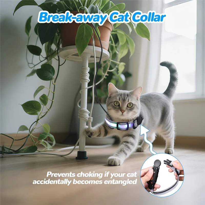 For Night Cat Collar, Rechargeable Waterproof LED Light For Cats, Remote Control Included, Dog Friendly Design - Image 3