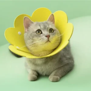 Cute Flower Shaped Adjustable Elizabethan Recovery Collar for Cats Dogs Puppy Kitten Protective Anti-Bite Healing Aid