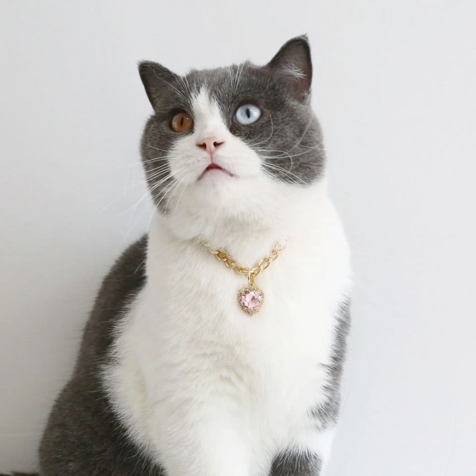 Luxury Dog Cat Necklace Jewelry with Heart Diamond Pendant Design Gold Chain Collar Pet Wedding Birthday Costume Accessories - Image 5