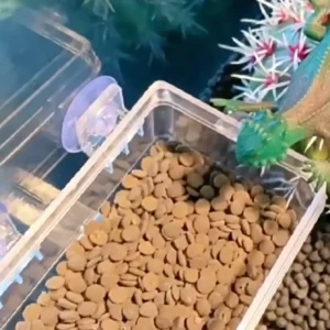 1pc-Crawler anti escape feeder, water basin anti escape pet feeder, suitable for turtles and lizards - random color