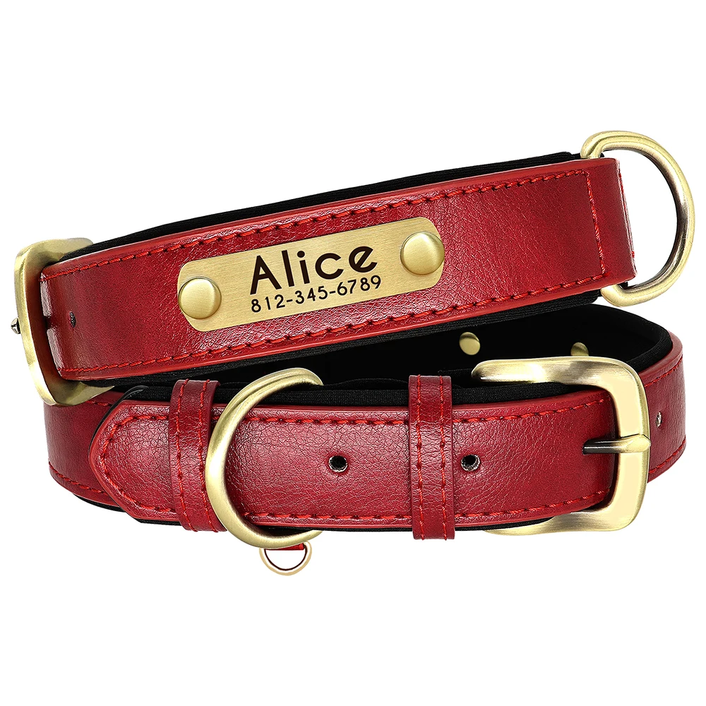 Personalized PU Leather Padded Dog Collar Customized ID Nameplate Pet Collar For Small Medium Dogs Durable Necklaces Accessories - Image 10