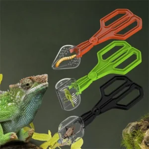 Clear Reptiles Feeding Tongs Gentle Insect Catcher Tool With Ergonomic Grip For Safe Handling And Easy Cleaning Plastic B03E