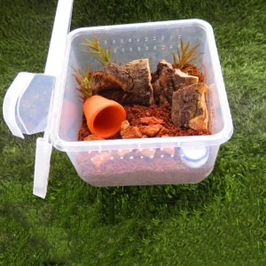 Small Square Rearing Box Reptile Horned Frog Transparent Breeding Box Pet Snake Spider Centipede Snail Insect Turtle Tank 5Pcs