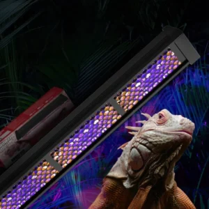 UVB Reptile Light UVA Sunbathing Back Adjustable Breeding Box Light Turtle Lizard Terrarium LED Lamp Reptile Pet Box Sun Lamp