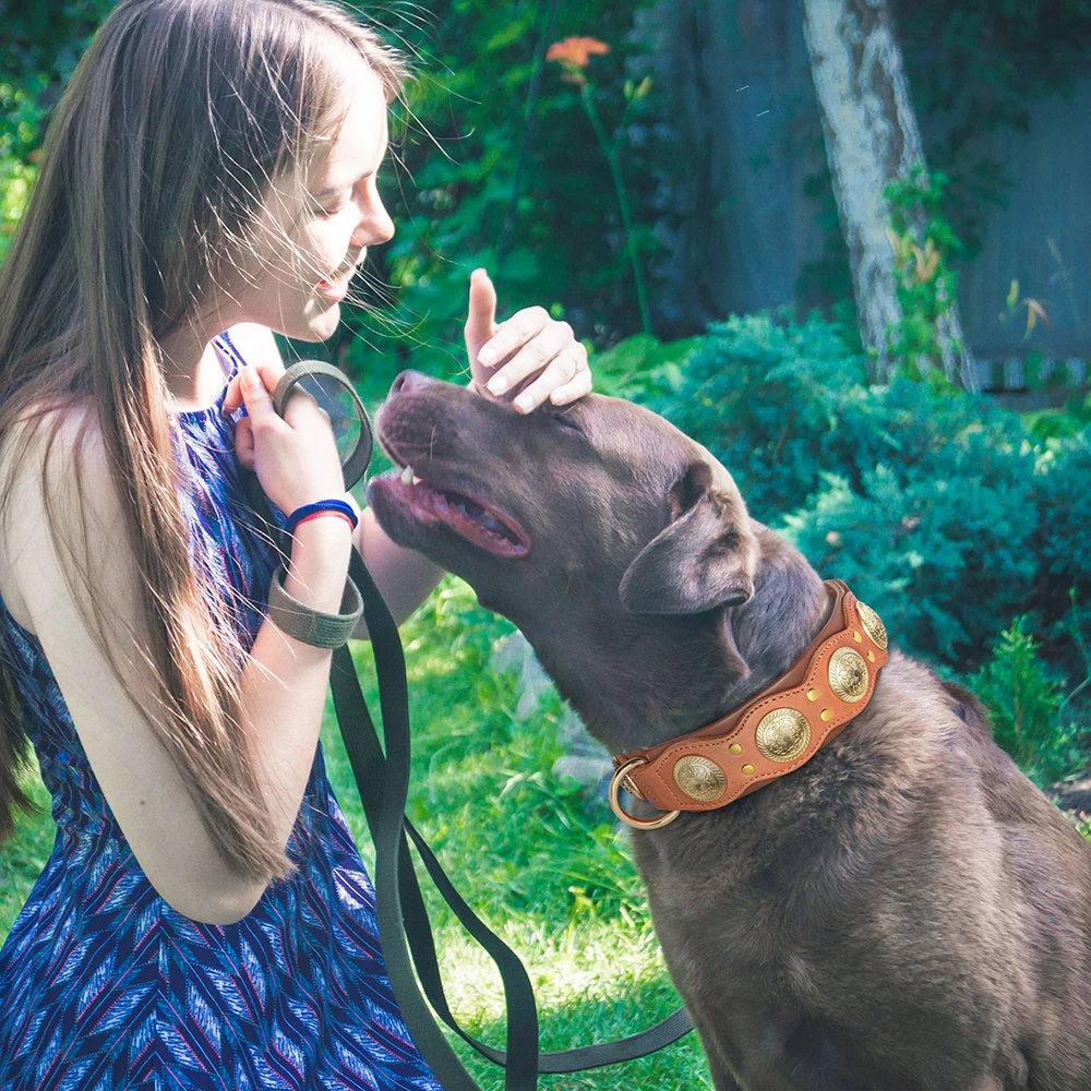 Durable Real Leather Dog Collar Cool Spiked Studded Collars for Medium Large Dogs Genuine Leather Pet Collar Pitbull Bulldog - Image 5