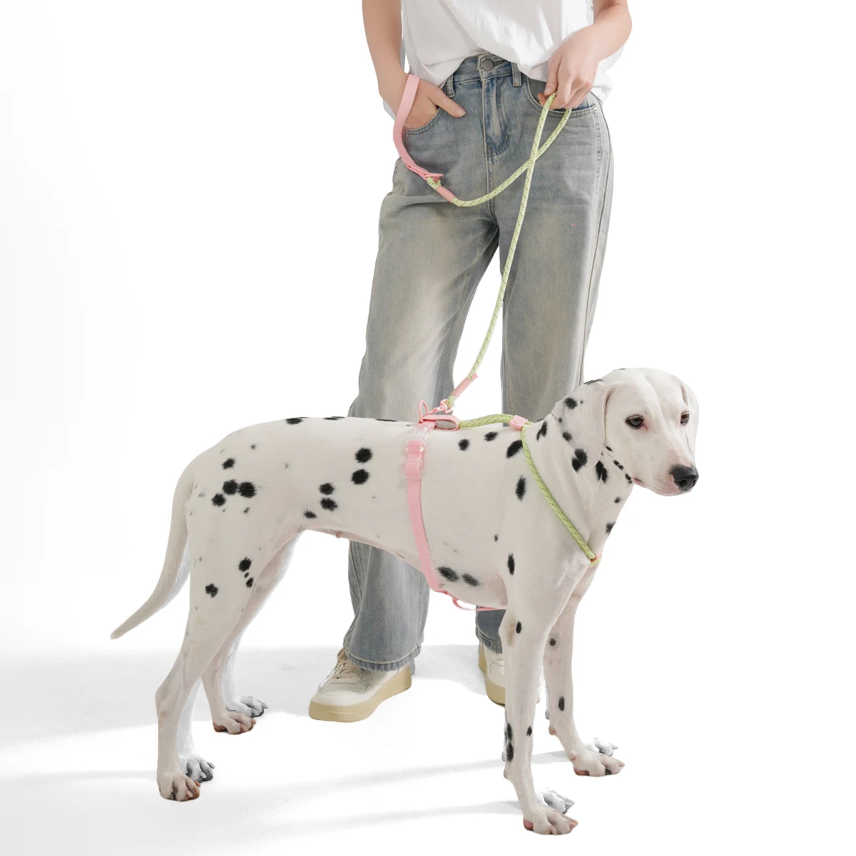 Small And Medium Dogs Harness For Summer Pet dog Walking Running Outdoor Fashion Harness No Pull Safety Reflective Nylon Leashes - Image 4