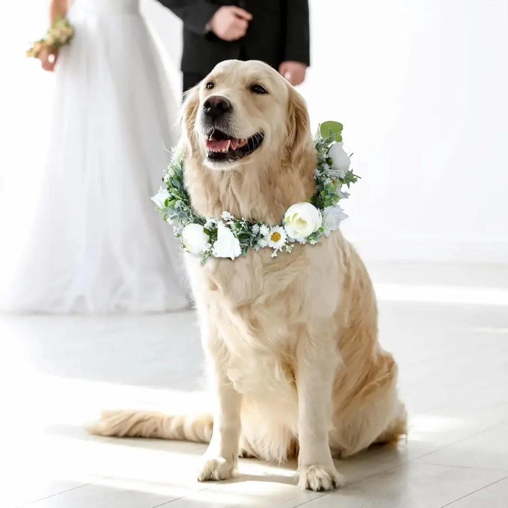 Adjustable Elegant Flower Dog Collar for Medium Large Dogs Cats Wedding Photo Props Pet Costume Accessories - Image 4