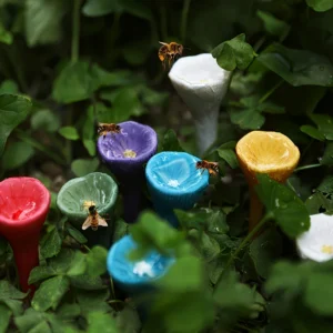 5pc Colorful Bee Watering Set Resin Insect Watering Cups Attracting and Nourishing Bees Suitable for Gardening Urban Agriculture
