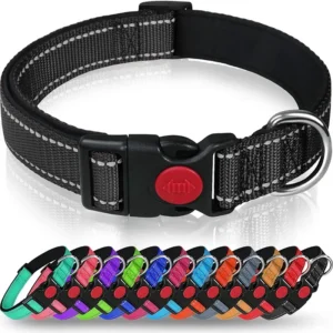 Reflective Nylon Dog and Cat Collar, Adjustable Pet Safety Collar, Reflective Retractable Leash for Small and Medium Dogs