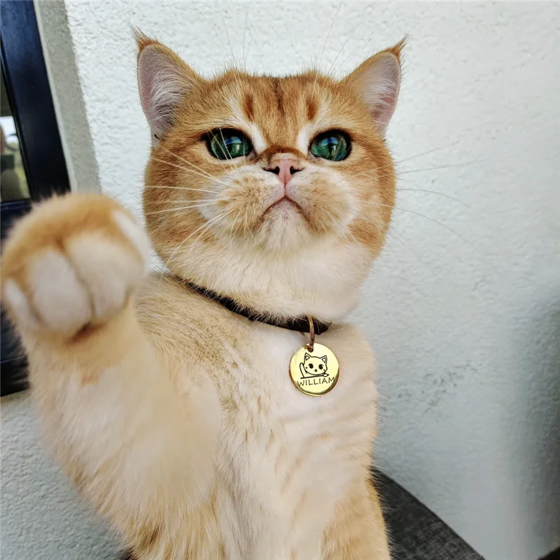 Personalized Pet ID Tags Cute Cat Face Collar Accessories Name Tags ID Collar Pendant Customized Free Engraved Anti-lost Tag - Image 4