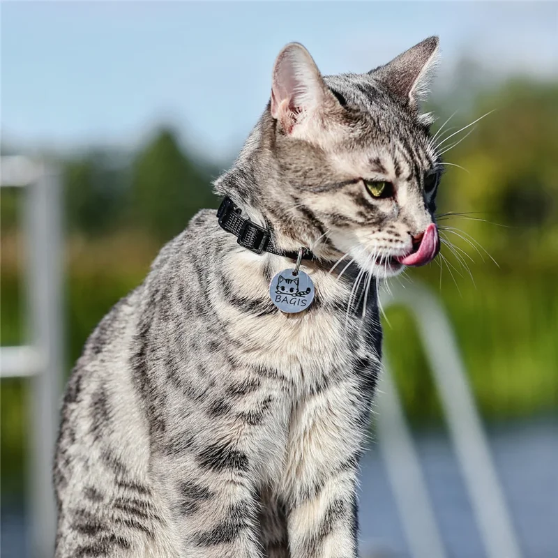 Personalized Pet ID Tags Cute Cat Face Collar Accessories Name Tags ID Collar Pendant Customized Free Engraved Anti-lost Tag - Image 7