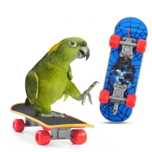 1PC Pet Training Skateboard Animal Supplies Skateboard Lovebird Canaries Perch Parrot Bird Calopsita Bird Accessories