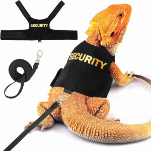 Bearded Dragon Harness and Leash Set - Escape Proof Adjustable Lizard Reptiles Harness for Walking Outdoor
