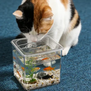 Plastic Fish Bowl Aquarium Cat Drinking Water Fountain Decorative Desktop Betta Fish Tank Turtle Breeding Boxes Fish Tanks
