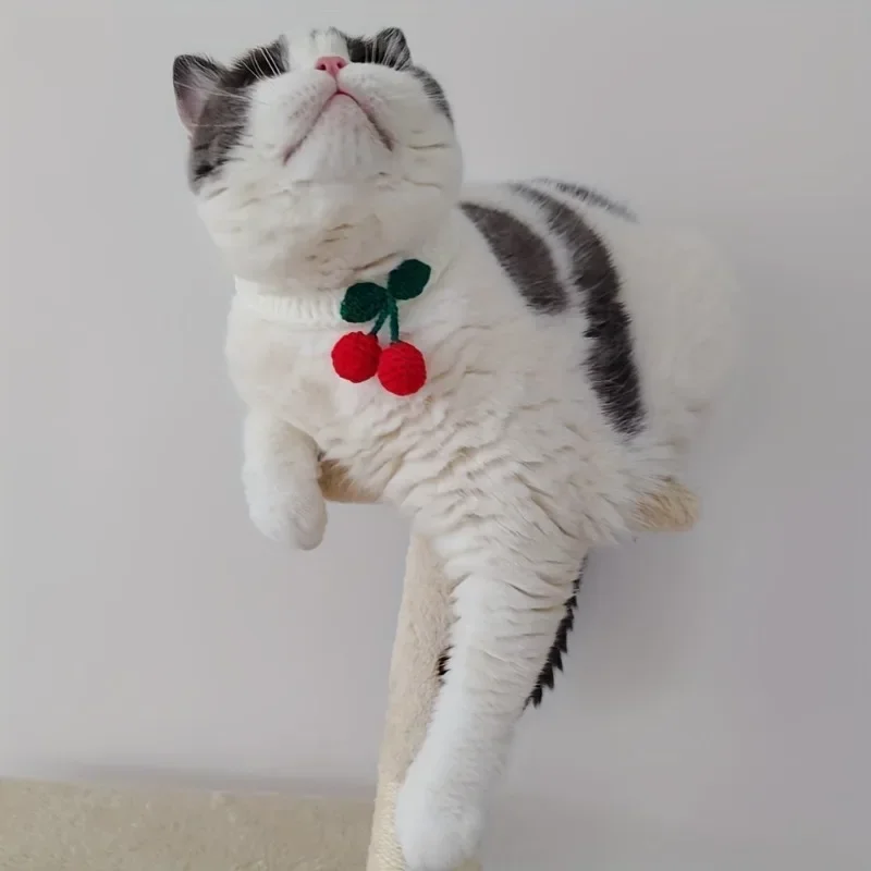 Pet Collar Handmade Knitted Cat Collar With Cherry Decor Cute Cat Necklace Cat Supplies ะพัะตะนะฝะธะบ ะดะปั ะบะพัะตะบ para gatos accesorios - Image 4