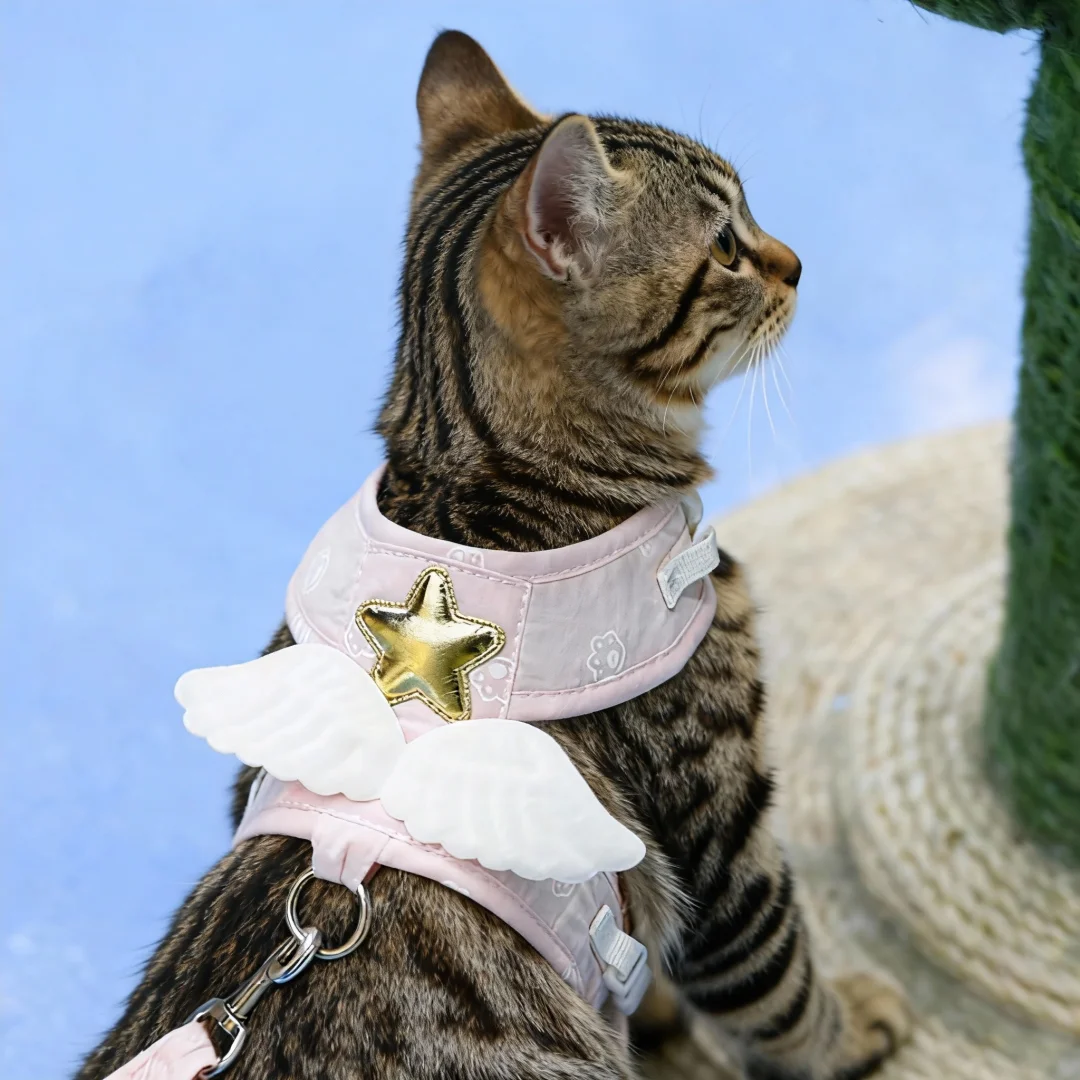 Angel Wing Cat Harness and Leash Set, Adjustable Kitten Vest Harness for Walking, Escape-Proof Soft Mesh Breathable also Puppy - Image 2