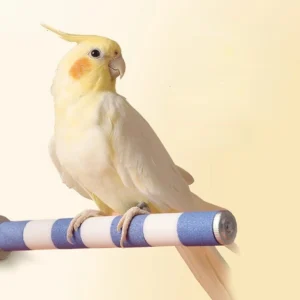 Pets Parrot Bird Claw Beak Grinding Perches Standing Rack Claw Grinding Stick Cage Pigeon Accessories 20/15/12CM